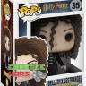 POP! Vinyl Harry Potter Bellatrix Lestrange