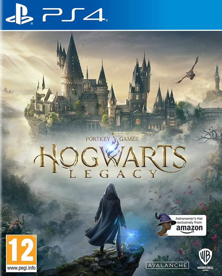 Hogwarts Legacy (PS4)